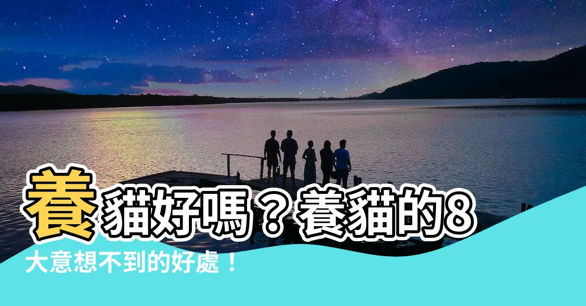 【養貓好嗎】養貓好嗎？養貓的8大意想不到的好處！