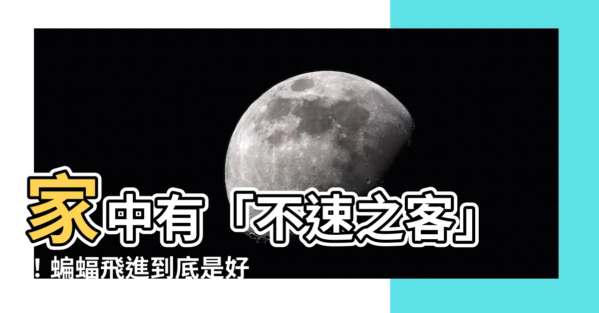 【蝙蝠飛 進 家裡是好是壞】家中有「不速之客」！蝙蝠飛進到底是好是壞？