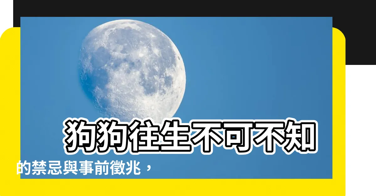 【狗往生】 狗狗往生不可不知的禁忌與事前徵兆，温柔告別愛寵