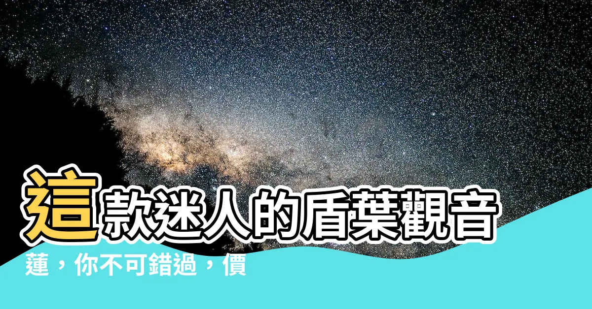 【盾葉觀音蓮】這款迷人的盾葉觀音蓮，你不可錯過，價格推薦都在這裡！