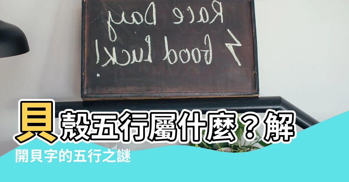 【貝 五行】貝殼五行屬什麼？解開貝字的五行之謎