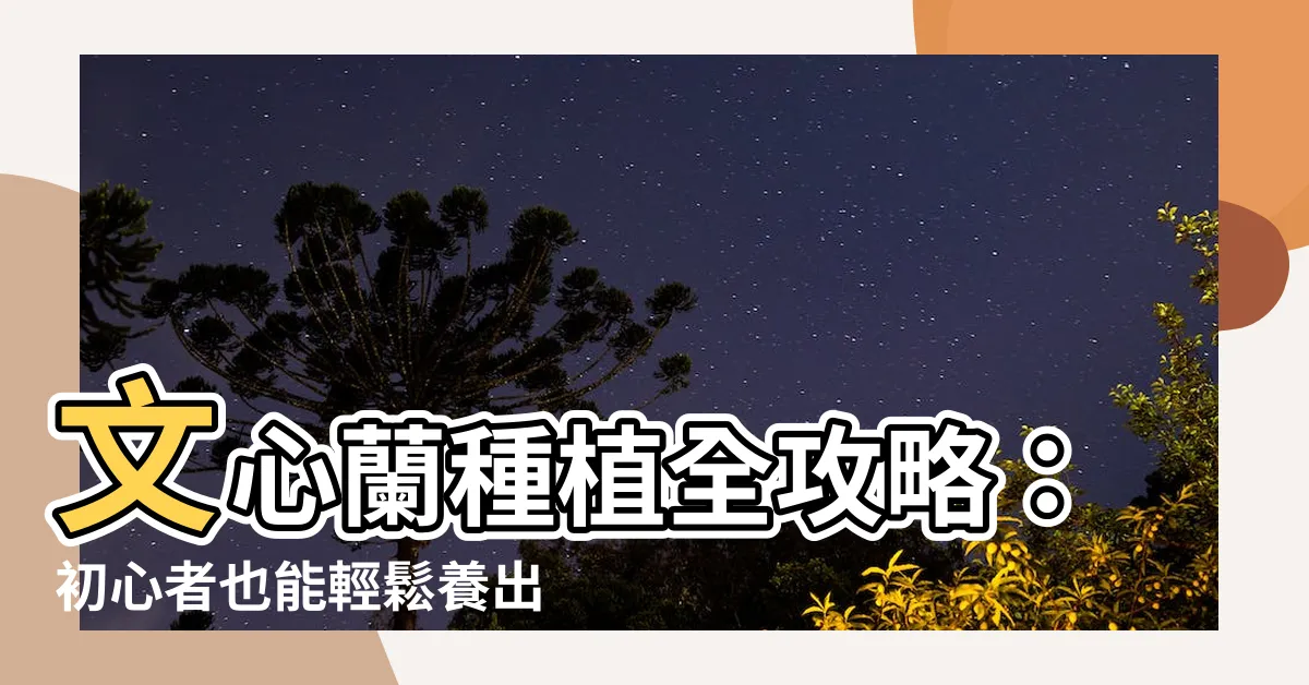 【文心蘭種植】文心蘭種植全攻略：初心者也能輕鬆養出嬌豔花朵