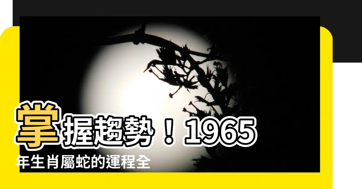 【1965年生肖屬蛇的運程】掌握趨勢！1965年生肖屬蛇的運程全解析