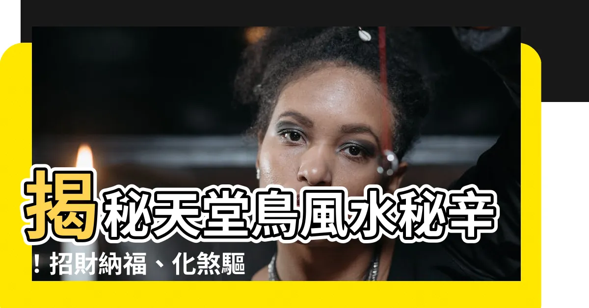 【天堂鳥風水】揭秘天堂鳥風水秘辛！招財納福、化煞驅邪指南