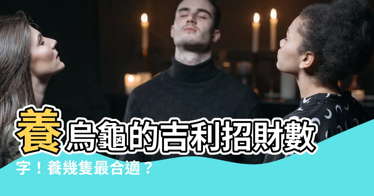 【烏龜養幾隻比較好】養烏龜的吉利招財數字！養幾隻最合適？