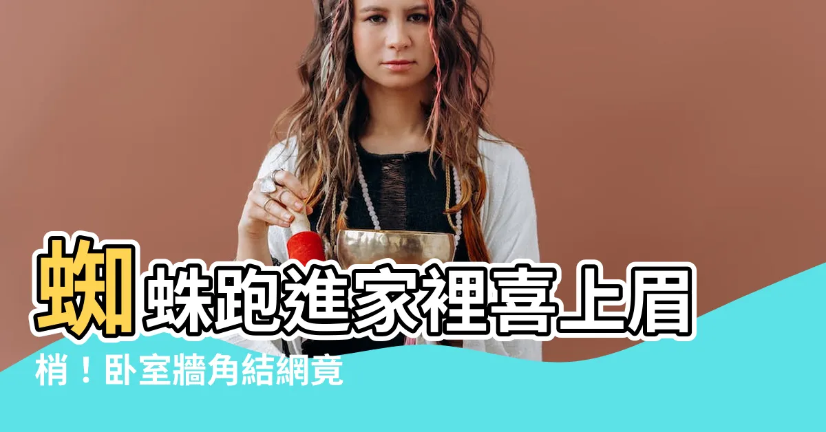 【蜘蛛跑進家裡】蜘蛛跑進家裡喜上眉梢！卧室牆角結網竟是「桃花運」預告！