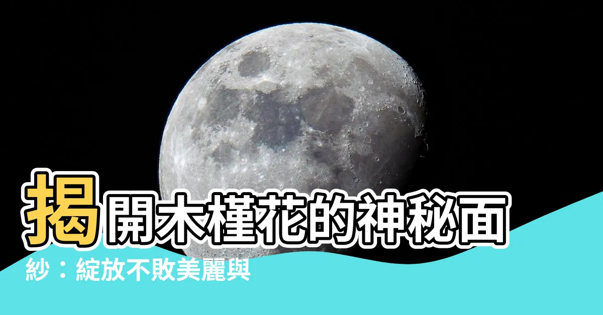 【木瑾花】揭開木槿花的神秘面紗：綻放不敗美麗與傳奇故事