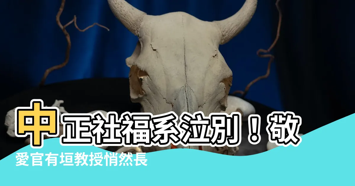 【官有垣過世】中正社福系泣別！敬愛官有垣教授悄然長逝