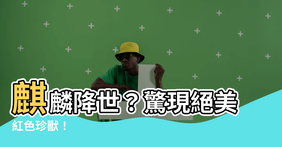 【麒麟】麒麟降世？驚現絕美紅色珍獸！