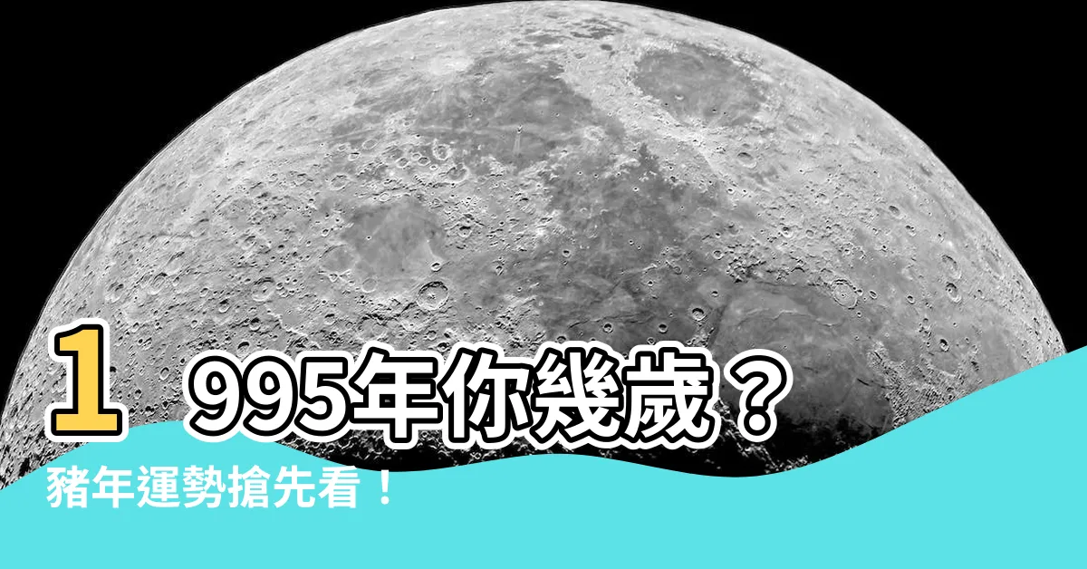 【1995什麼年】1995年你幾歲？豬年運勢搶先看！