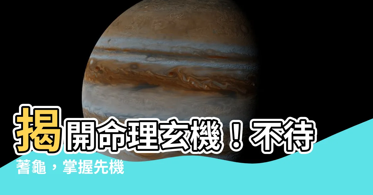 【不待蓍龜】揭開命理玄機！不待蓍龜，掌握先機