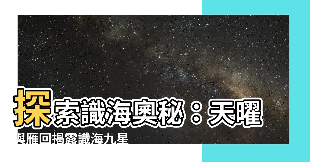 【識海九星是什麼】探索識海奧秘：天曜與雁回揭露識海九星的驚人秘密