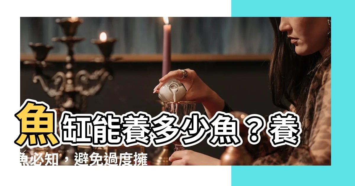 【魚缸可以養幾隻魚】魚缸能養多少魚？養魚必知，避免過度擁擠！