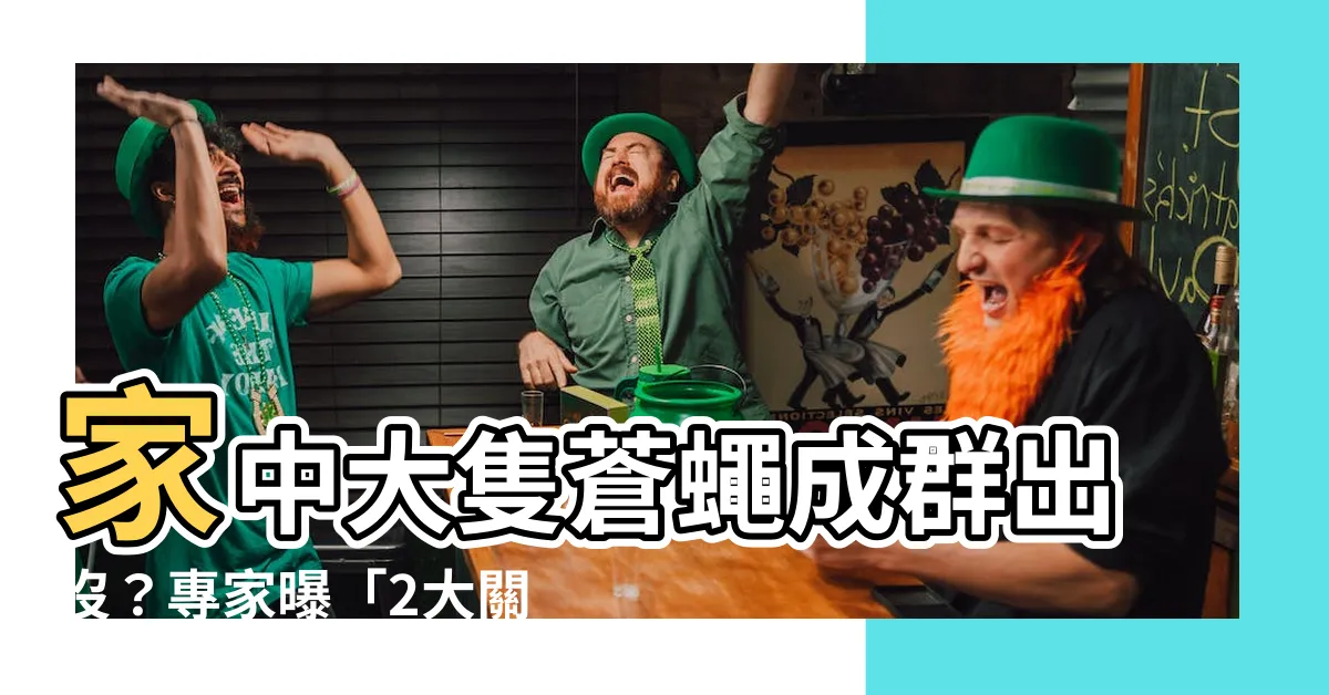 【家裡突然出現大隻蒼蠅】家中大隻蒼蠅成羣出沒？專家曝「2大關鍵原因」即刻滅絕！