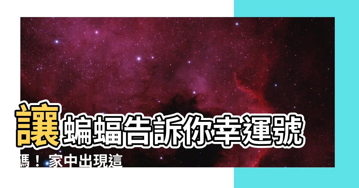 【蝙蝠飛進家裡代表幾號】讓蝙蝠告訴你幸運號碼！ 家中出現這 3 現象準備發大財