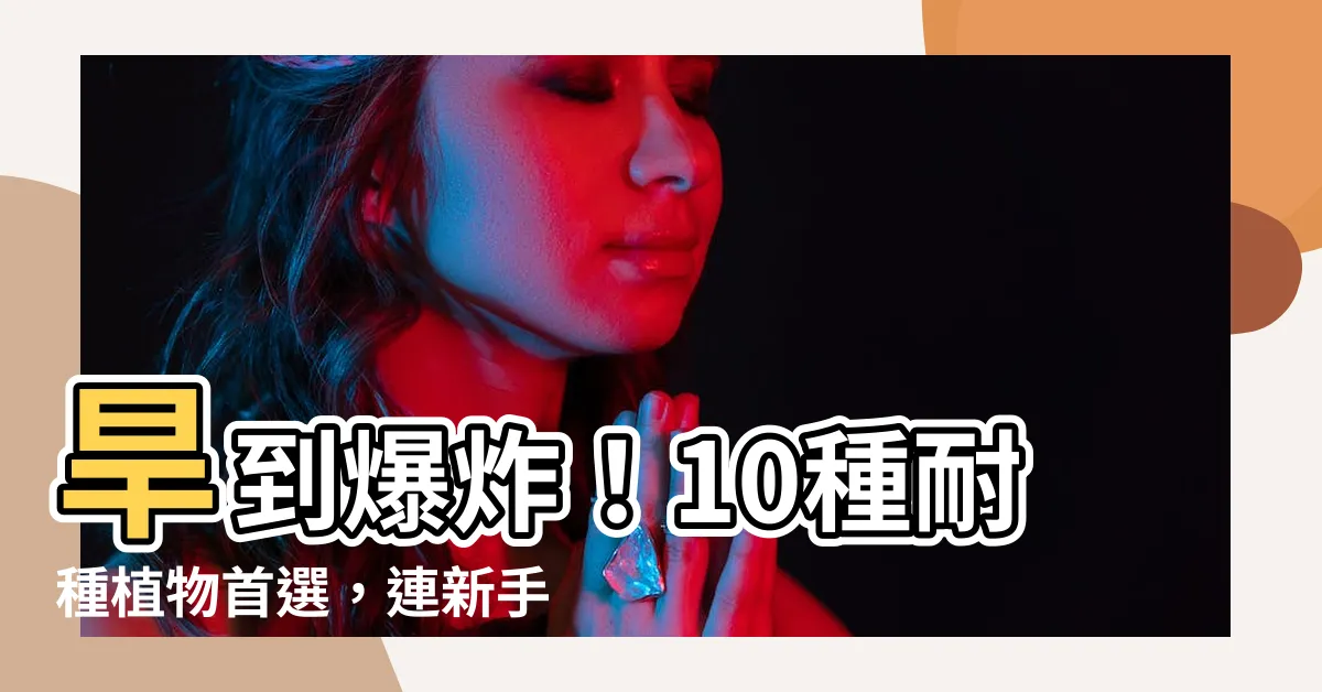 【耐種植物】旱到爆炸！10種耐種植物首選，連新手也能隨便養！