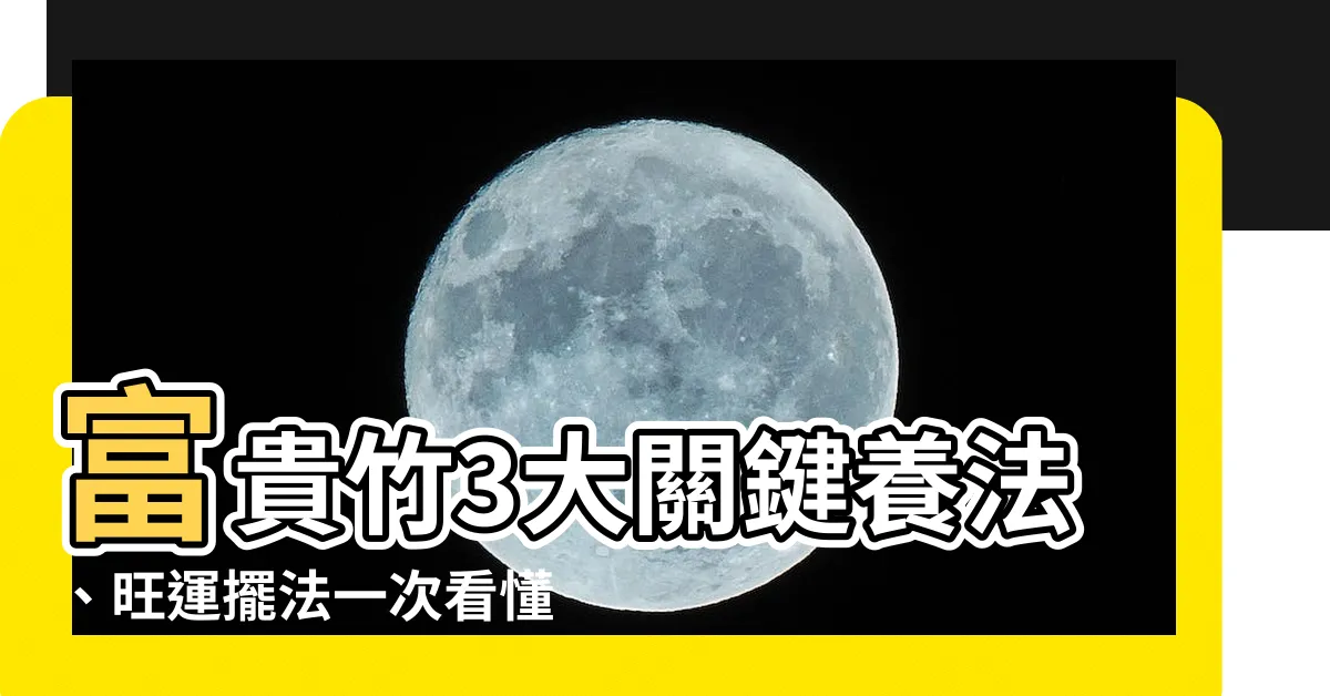 【富貴 竹】富貴竹3大關鍵養法、旺運擺法一次看懂，讓你財運亨通、好運連連