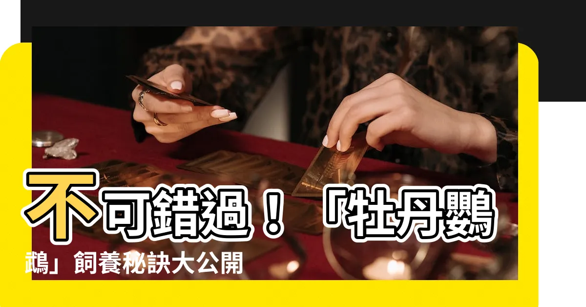 【牡丹鸚鵡】不可錯過！「牡丹鸚鵡」飼養秘訣大公開，讓你和小愛侶幸福美滿