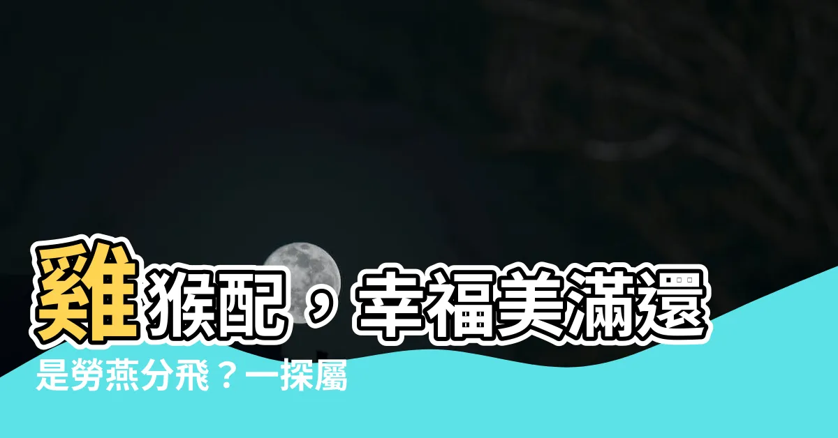 【雞 猴】雞猴配，幸福美滿還是勞燕分飛？一探屬雞與屬猴的情路與運勢