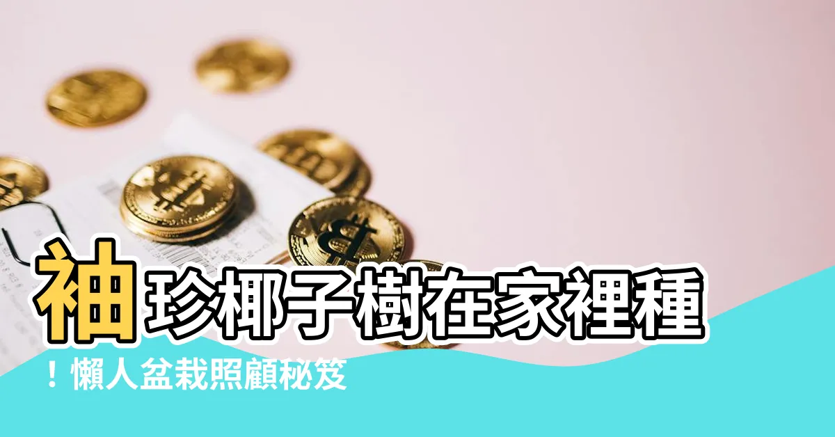 【袖珍椰子樹】袖珍椰子樹在家裡種！懶人盆栽照顧秘笈大公開