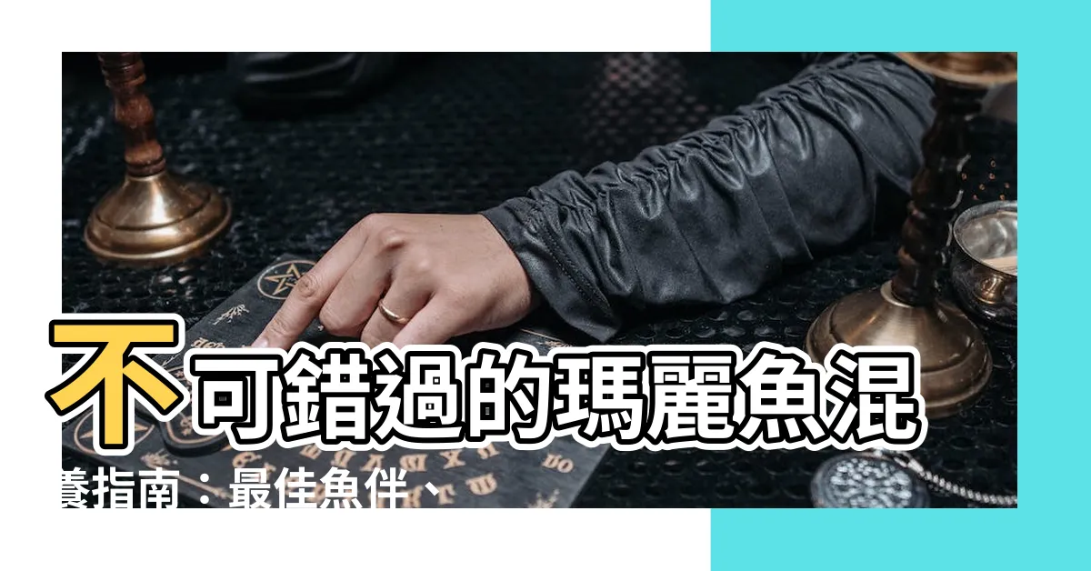 【瑪麗魚混養】不可錯過的瑪麗魚混養指南：最佳魚伴、飼養難易度與混養禁忌