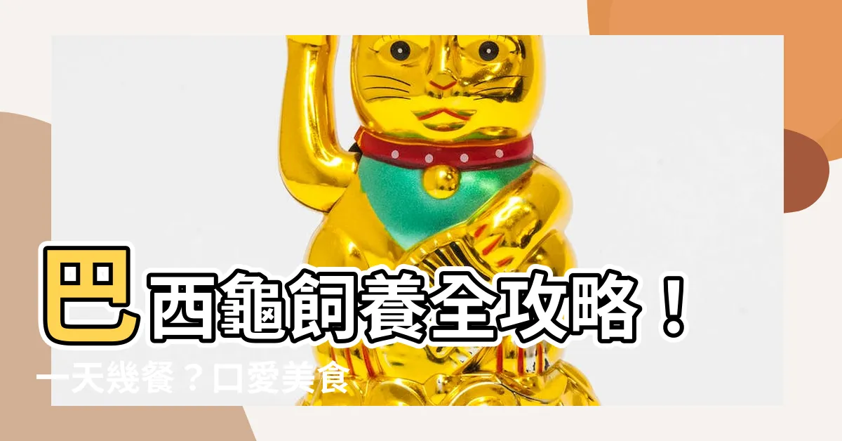 【巴西龜可以吃什麼】巴西龜飼養全攻略！一天幾餐？口愛美食有哪些？
