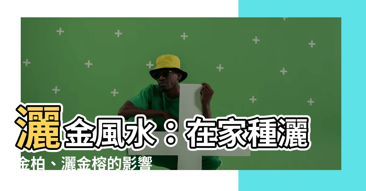【灑金風水】灑金風水：在家種灑金柏、灑金榕的影響與破解