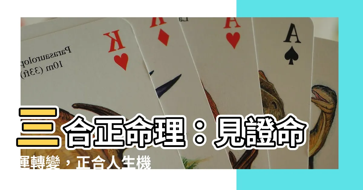 【三合正】三合正命理：見證命運轉變，正合人生機緣！