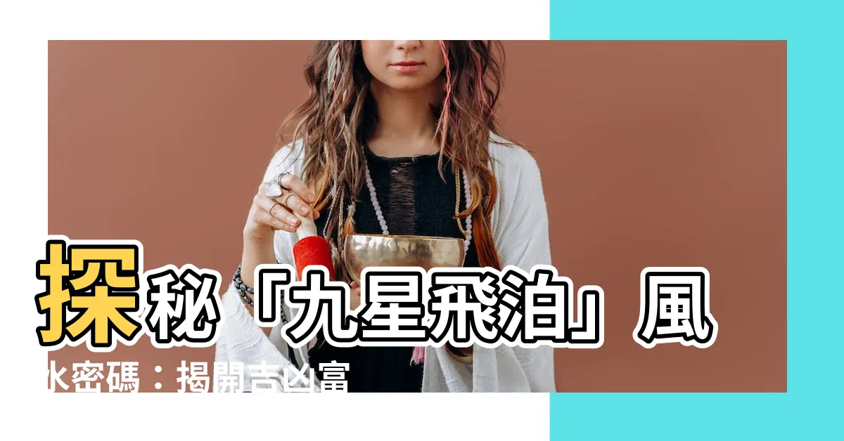 【九星飛泊】探秘「九星飛泊」風水密碼：揭開吉凶富貴的玄機
