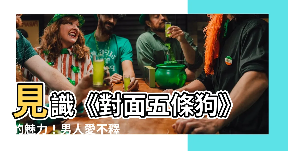 【對面五條狗】見識《對面五條狗》的魅力！男人愛不釋手都搶著玩！