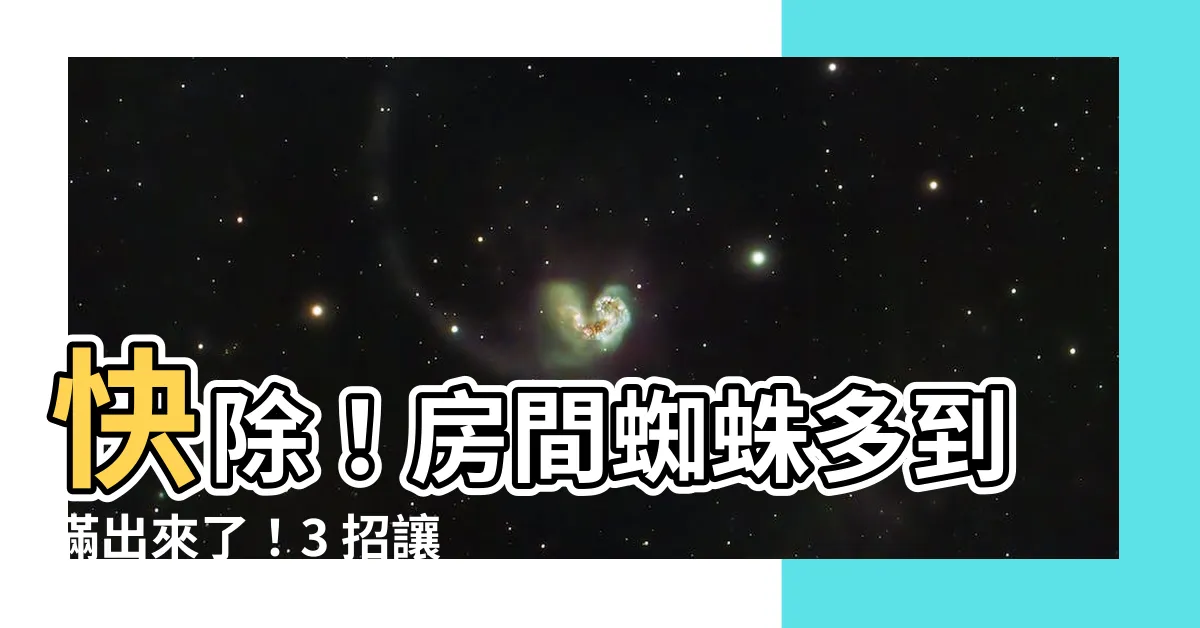 【房間蜘蛛很多】快除！房間蜘蛛多到滿出來了！3 招讓你徹底擺脱蜘蛛困擾