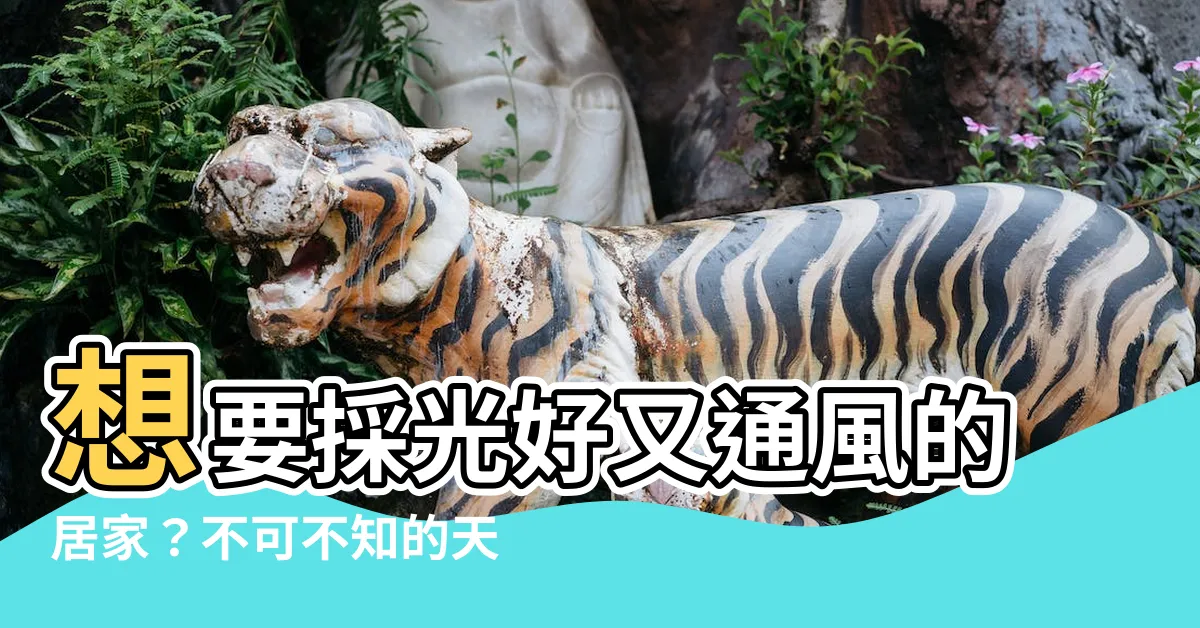 【房子 天井】想要採光好又通風的居家？不可不知的天井設計妙用