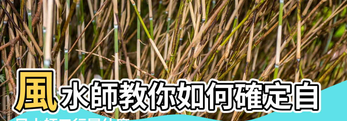 【風水師 五行】風水師教你如何確定自己的五行屬性 |風水師五行屬什麼 |風水師行業五行屬什麼 |