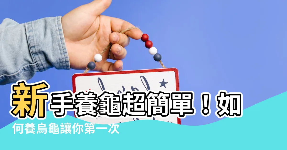 【如何養烏龜】新手養龜超簡單！如何養烏龜讓你第一次上手就成功