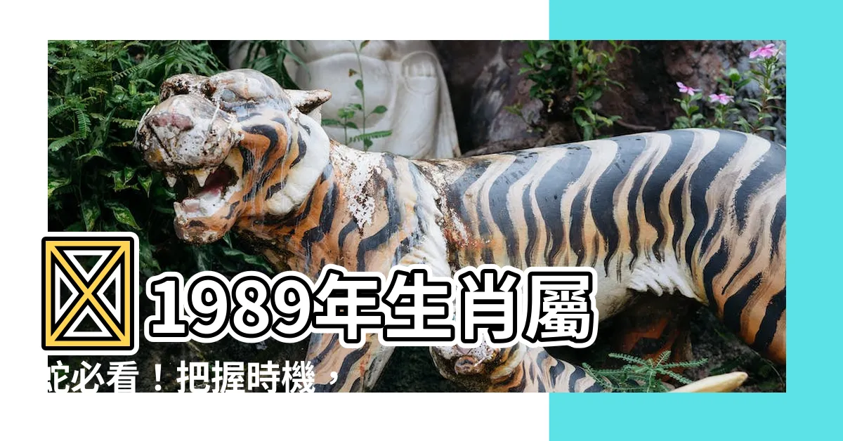 【1989 生效】✨1989年生肖屬蛇必看！把握時機，苦盡甘來就在眼前✨