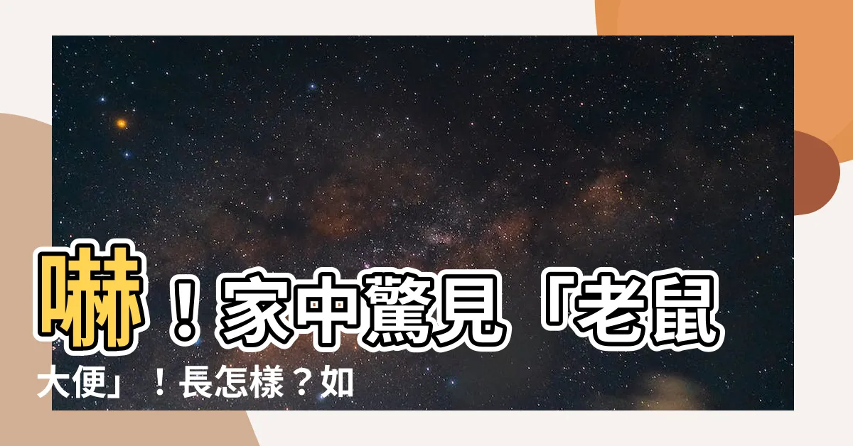 【老鼠大便長怎樣】嚇！家中驚見「老鼠大便」！長怎樣？如何清除超噁心「鼠糞」？