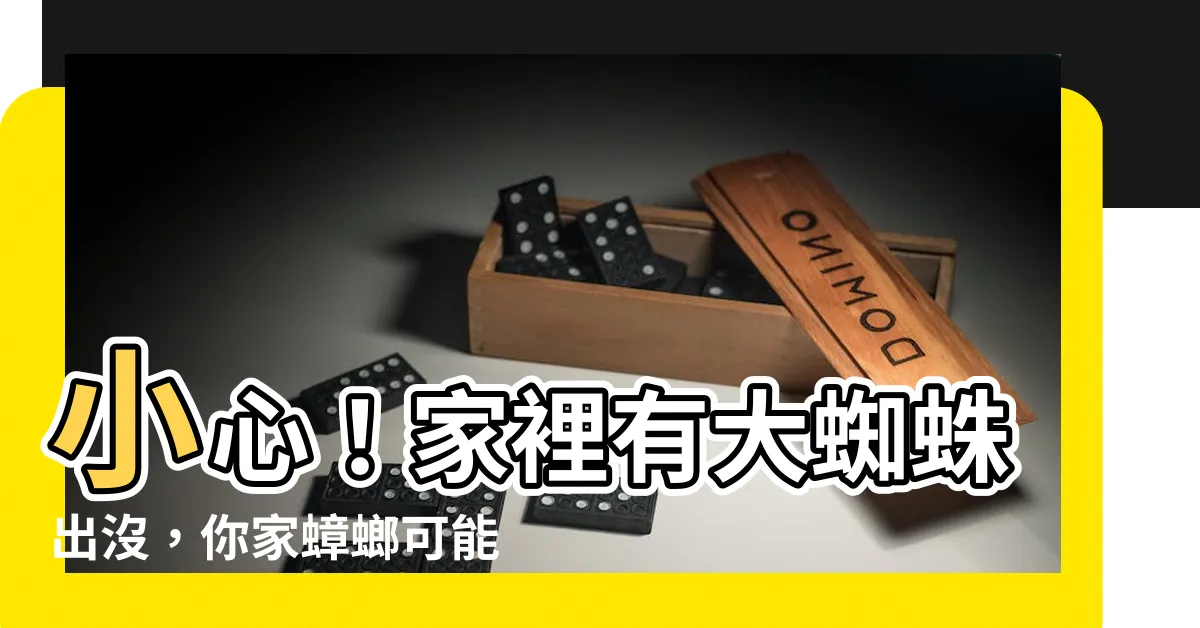 【家裡 大蜘蛛】小心！家裡有大蜘蛛出沒，你家蟑螂可能太多了！