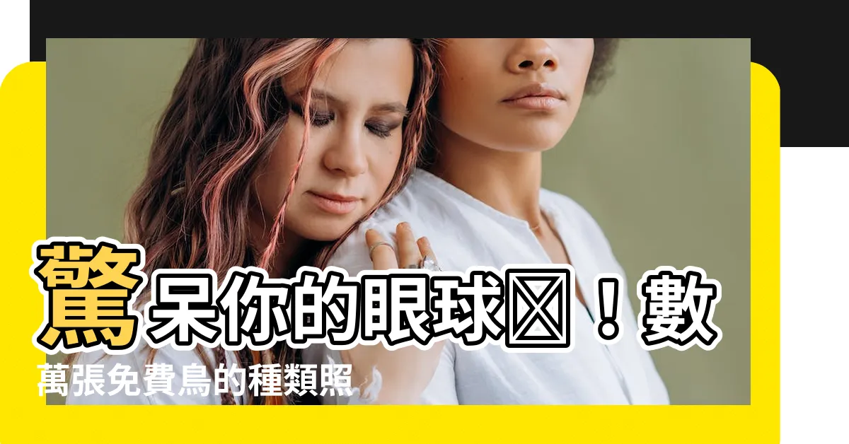 【鳥的種類照片】驚呆你的眼球👀！數萬張免費鳥的種類照片隨你下載📸