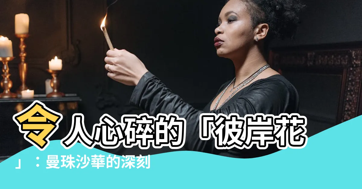 【曼珠沙華意思】令人心碎的「彼岸花」：曼珠沙華的深刻含義