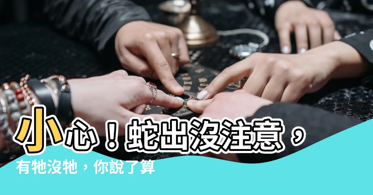 【有蛇出沒】小心！蛇出沒注意，有牠沒牠，你説了算！