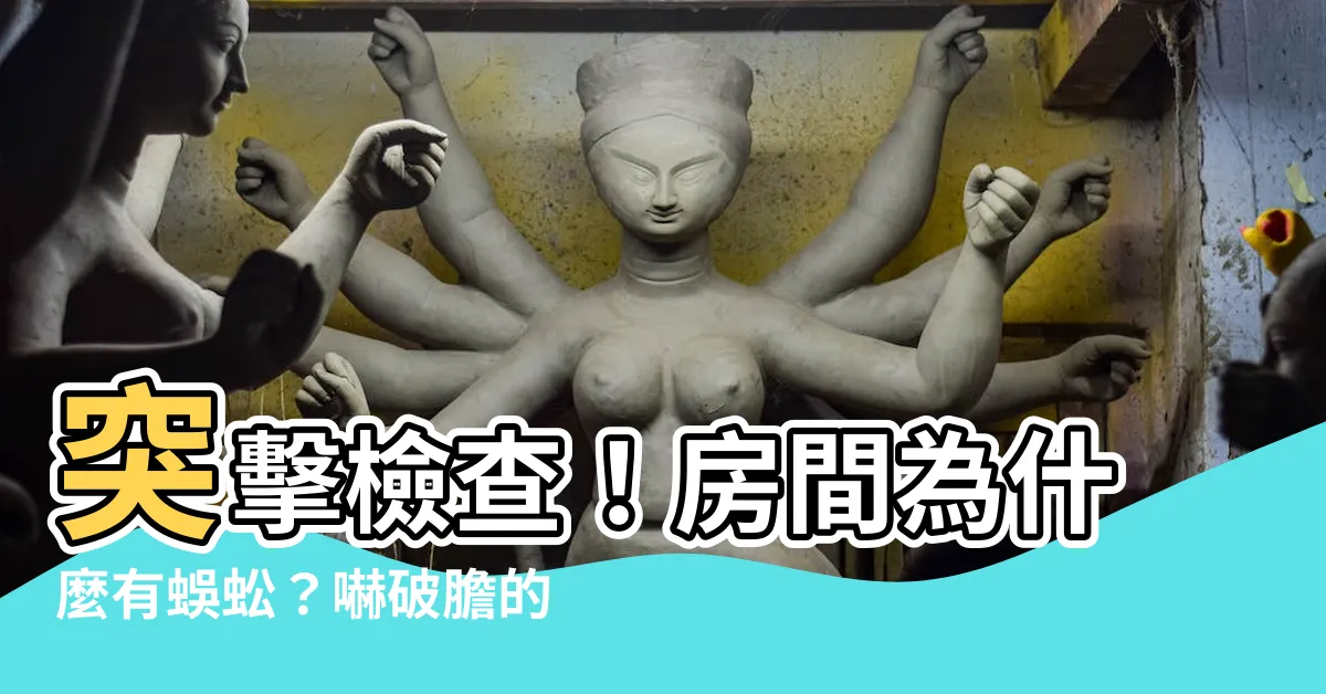 【房間為什麼有蜈蚣】突擊檢查！房間為什麼有蜈蚣？嚇破膽的原因大公開！