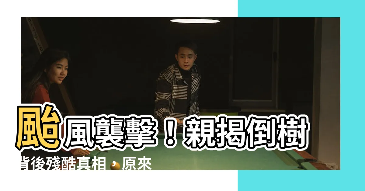 【倒樹】颱風襲擊！親揭倒樹背後殘酷真相，原來是這麼一回事！