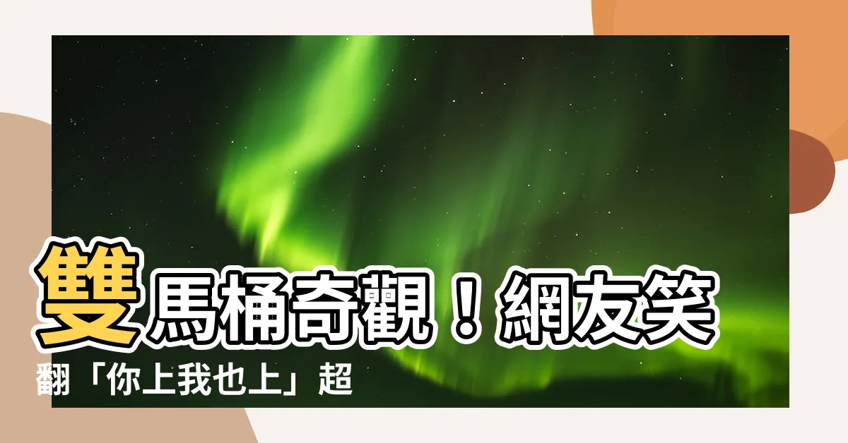 【雙馬桶設計】雙馬桶奇觀！網友笑翻「你上我也上」超詭異設計
