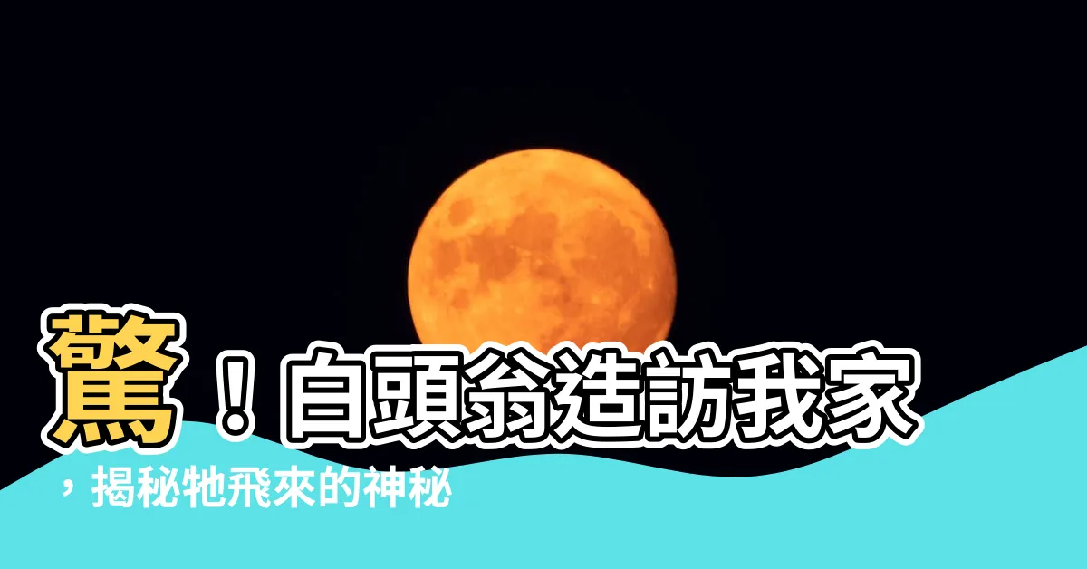 【白頭翁來家裡代表什麼】驚！白頭翁造訪我家，揭秘牠飛來的神秘寓意