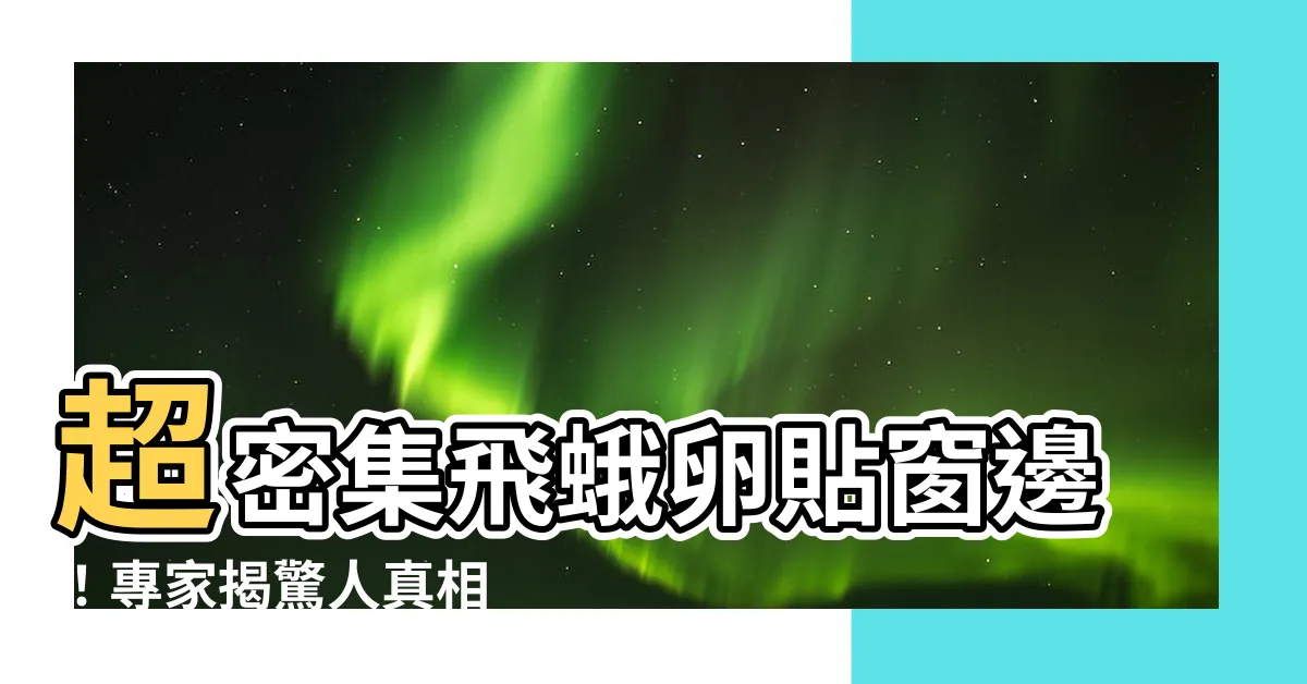 【飛蛾 卵】超密集飛蛾卵貼窗邊！專家揭驚人真相