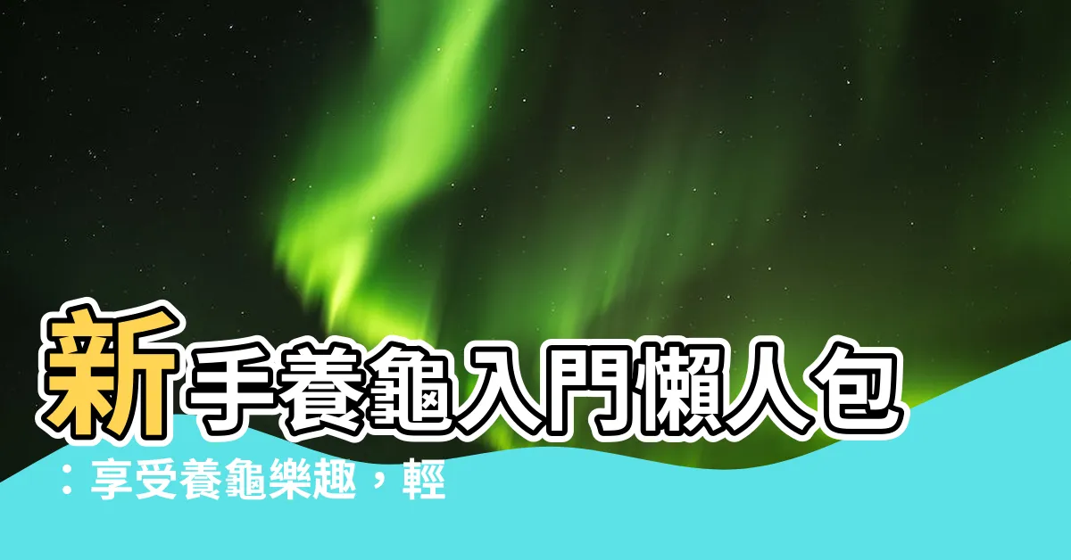 【養龜好處】新手養龜入門懶人包：享受養龜樂趣，輕鬆上手