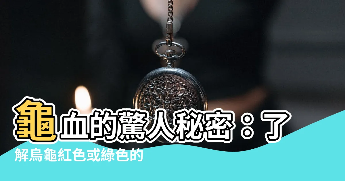 【烏龜的血是什麼顏色】龜血的驚人秘密：瞭解烏龜紅色或綠色的 кровь