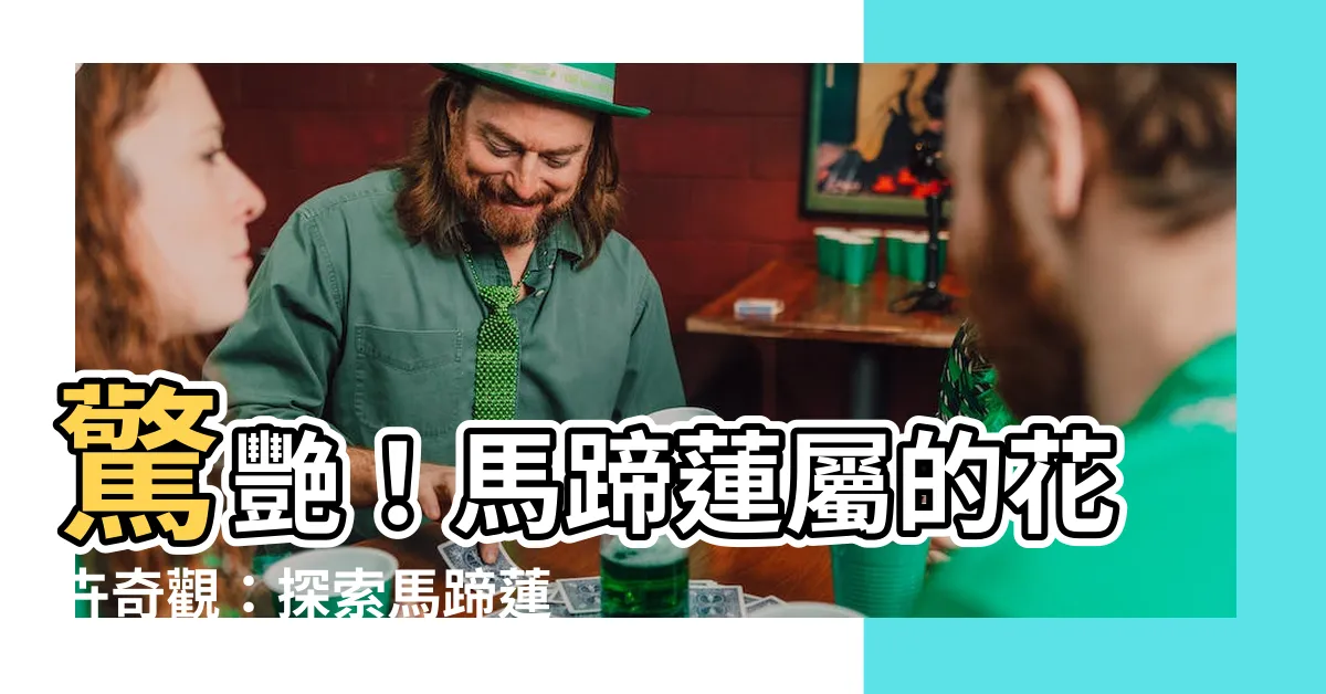 【馬蹄蓮屬】驚艷！馬蹄蓮屬的花卉奇觀：探索馬蹄蓮與海芋之美