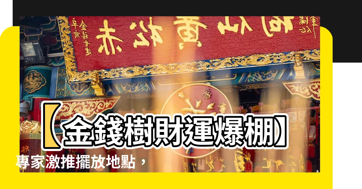 【金錢樹 財位】【金錢樹財運爆棚】專家激推擺放地點，讓你的財運滾滾來！