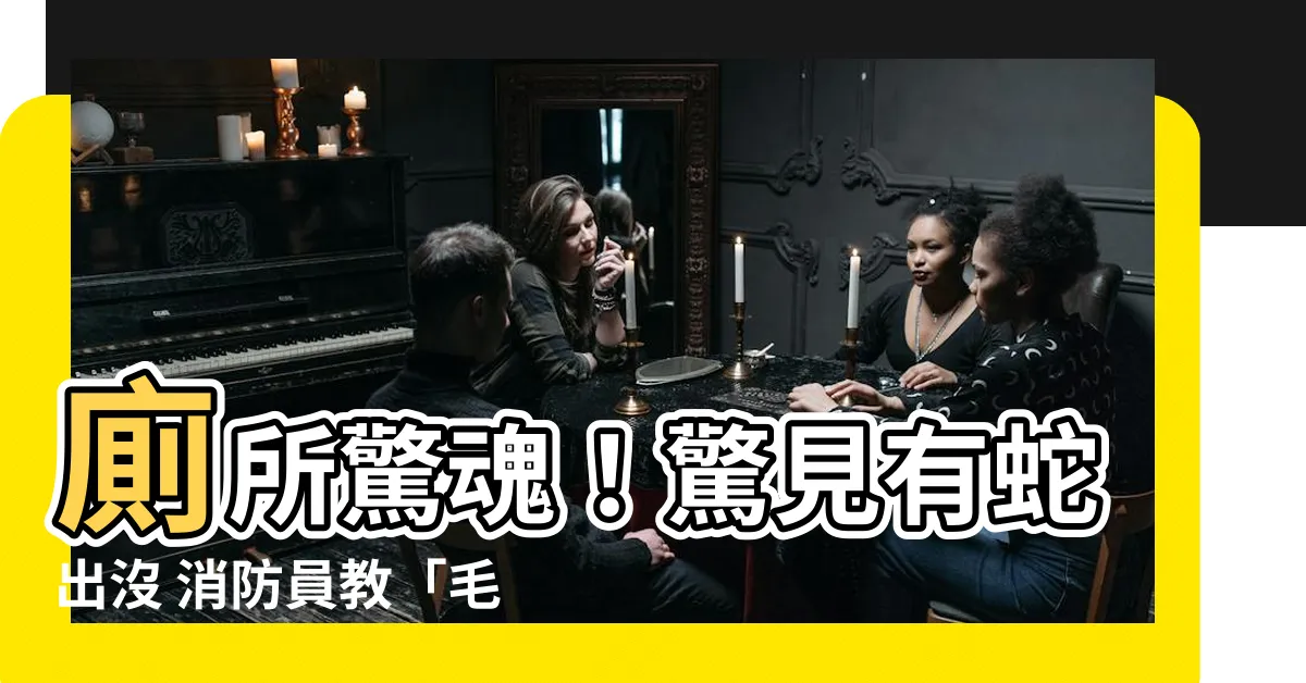 【廁所放蛇】廁所驚魂！驚見有蛇出沒 消防員教「毛巾自救法」